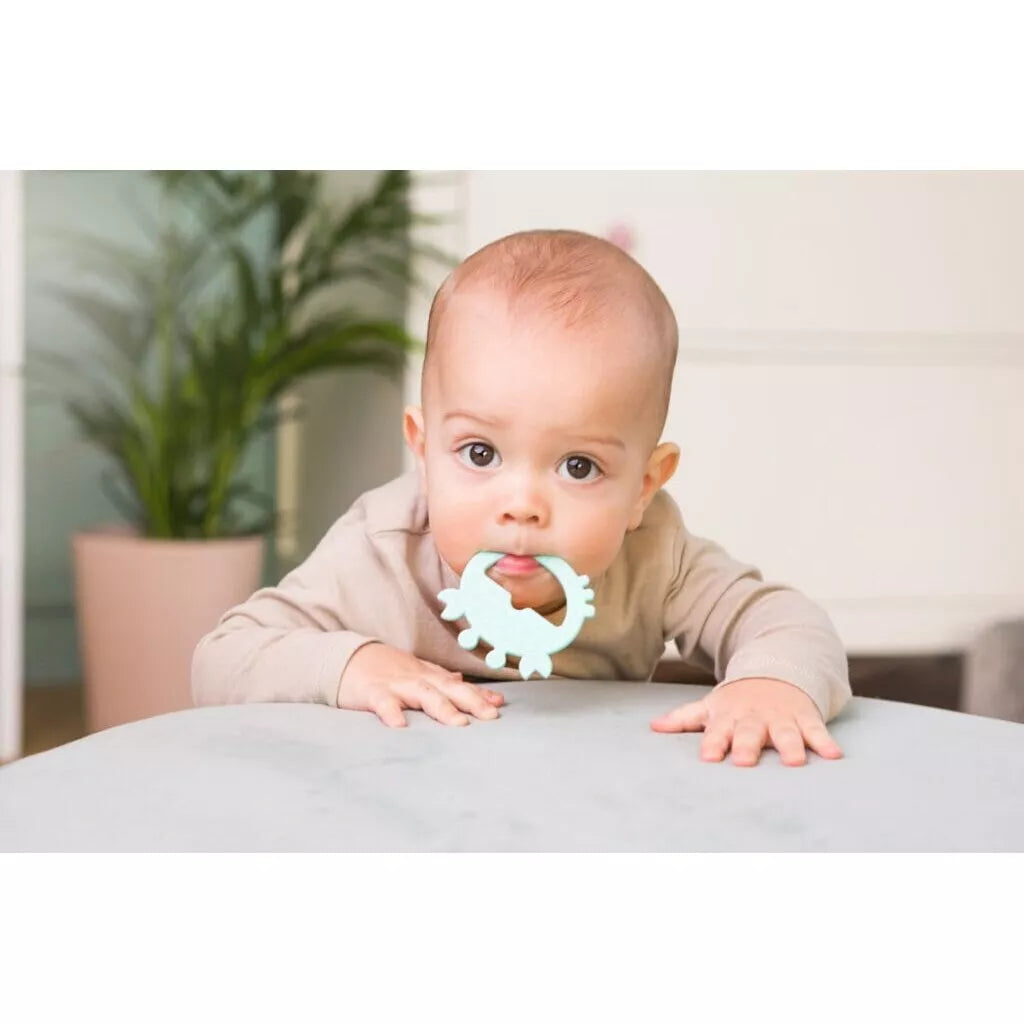 Kramtukas silikoninis GiliGums CRAB