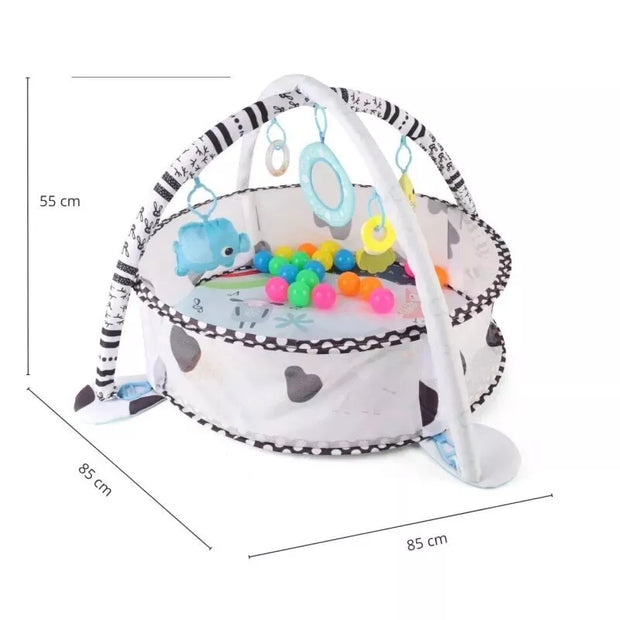 Lavinamasis edukacinis kilimėlis - kamuoliukų baseinas 2in1 TinyMini JL626-2D