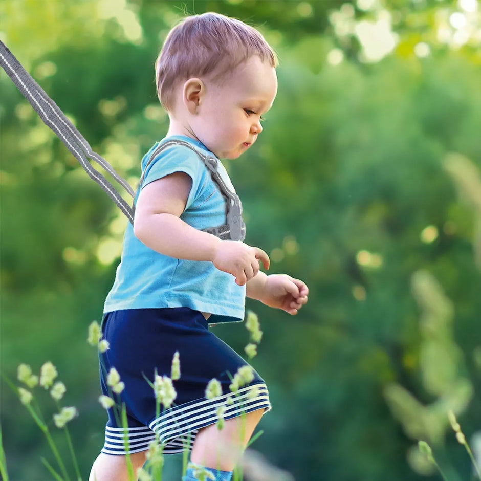 Saugumo diržai ir Pavadėlis Bambino