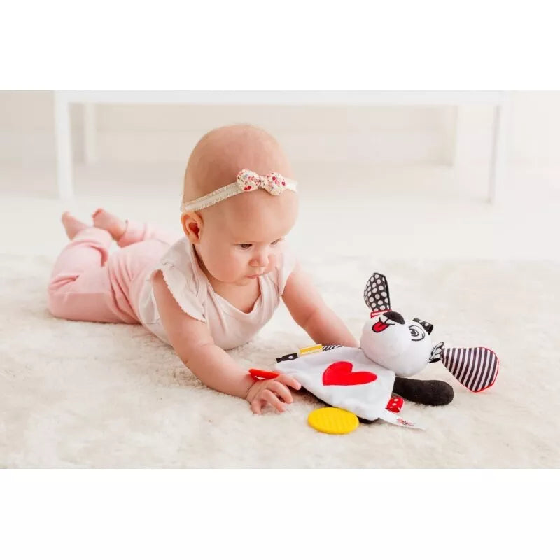 Žaislas su kramtuku BaliBazoo PUPPY PEDRO